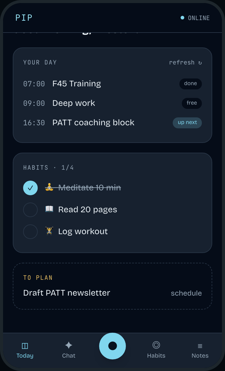 Pip interface mockup